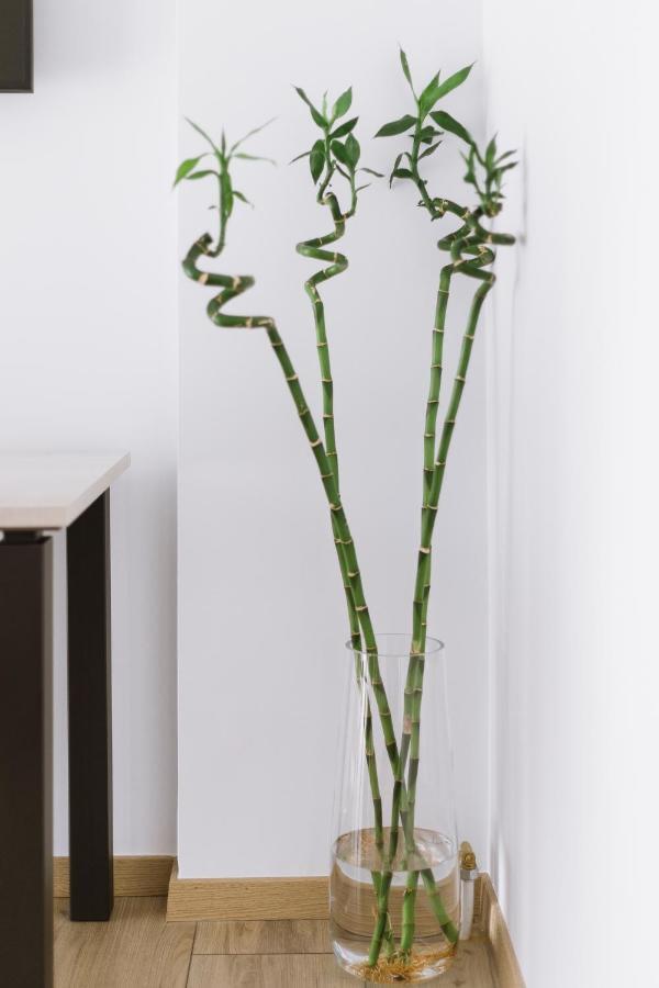 Minimal Apartment On The Shadow Of The Acropolis أثينا المظهر الخارجي الصورة